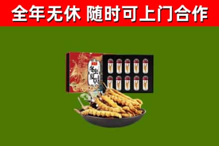 乐昌市回收冬虫夏草价格